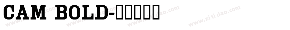Cam Bold字体转换